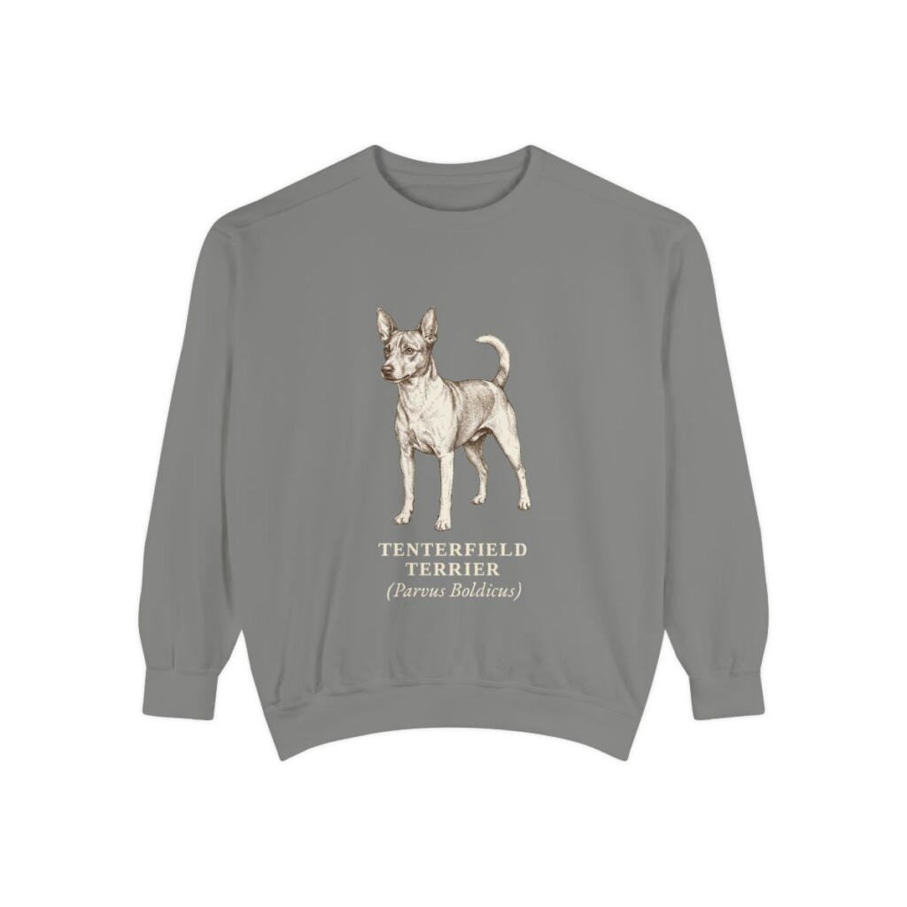 Tenterfield Terrier Latin Sweatshirt, Grey, front view