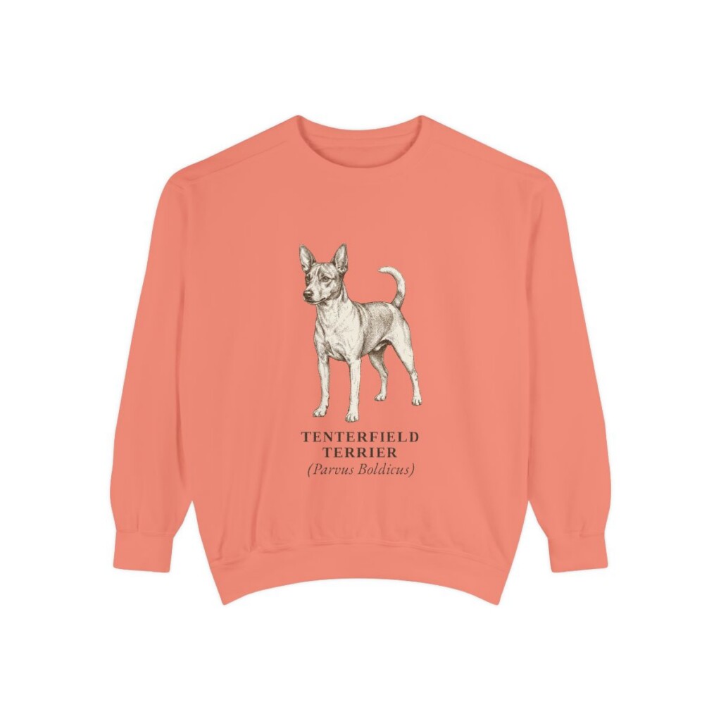 Tenterfield Terrier Latin Sweatshirt, Terracotta, front view