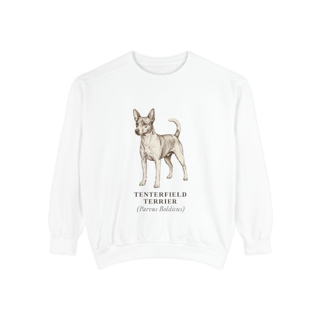 Tenterfield Terrier Latin Sweatshirt, White, front view