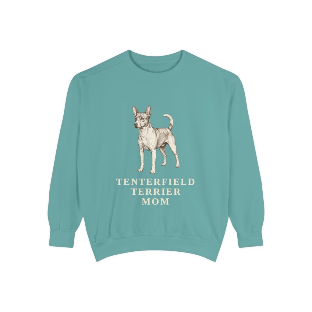 Tenterfield Terrier Mom Sweatshirt, Seafoam, front view