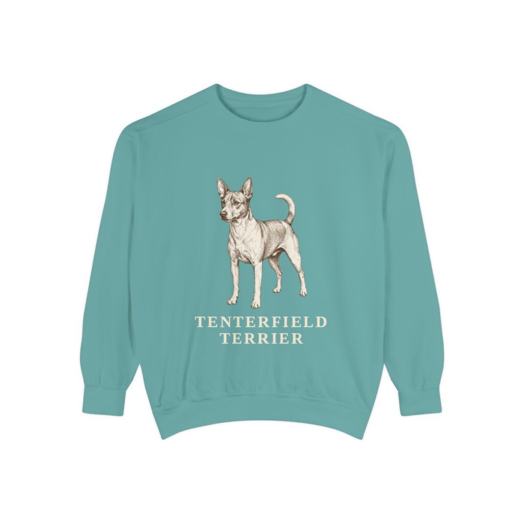 Tenterfield Terrier Sweatshirt, Seafoam, front view
