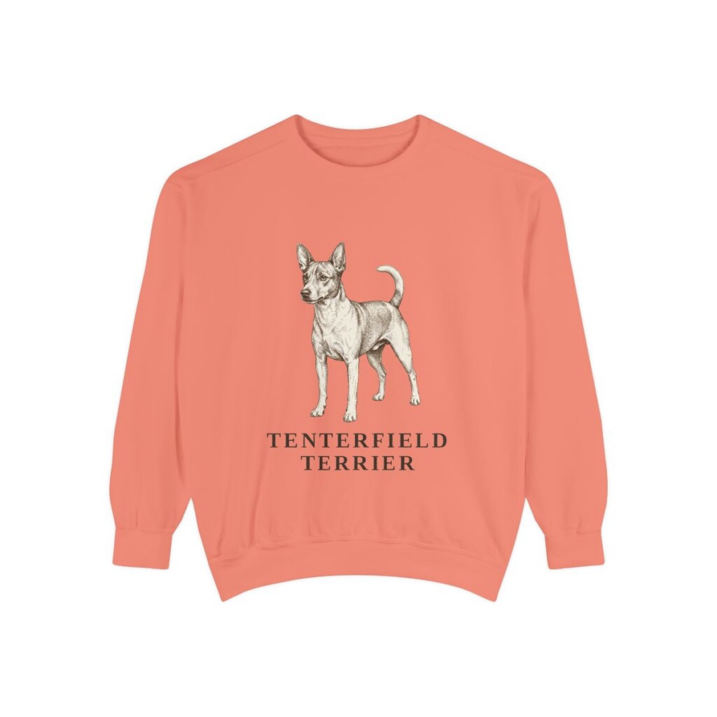 Tenterfield Terrier Sweatshirt, Terracotta, front view