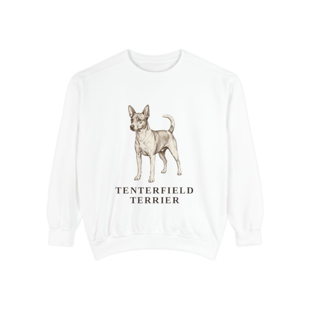 Tenterfield Terrier Sweatshirt, White, front view