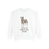 Texas Heeler Dad Sweatshirt, White, front view