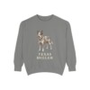 Texas Heeler Sweatshirt, Grey, front view