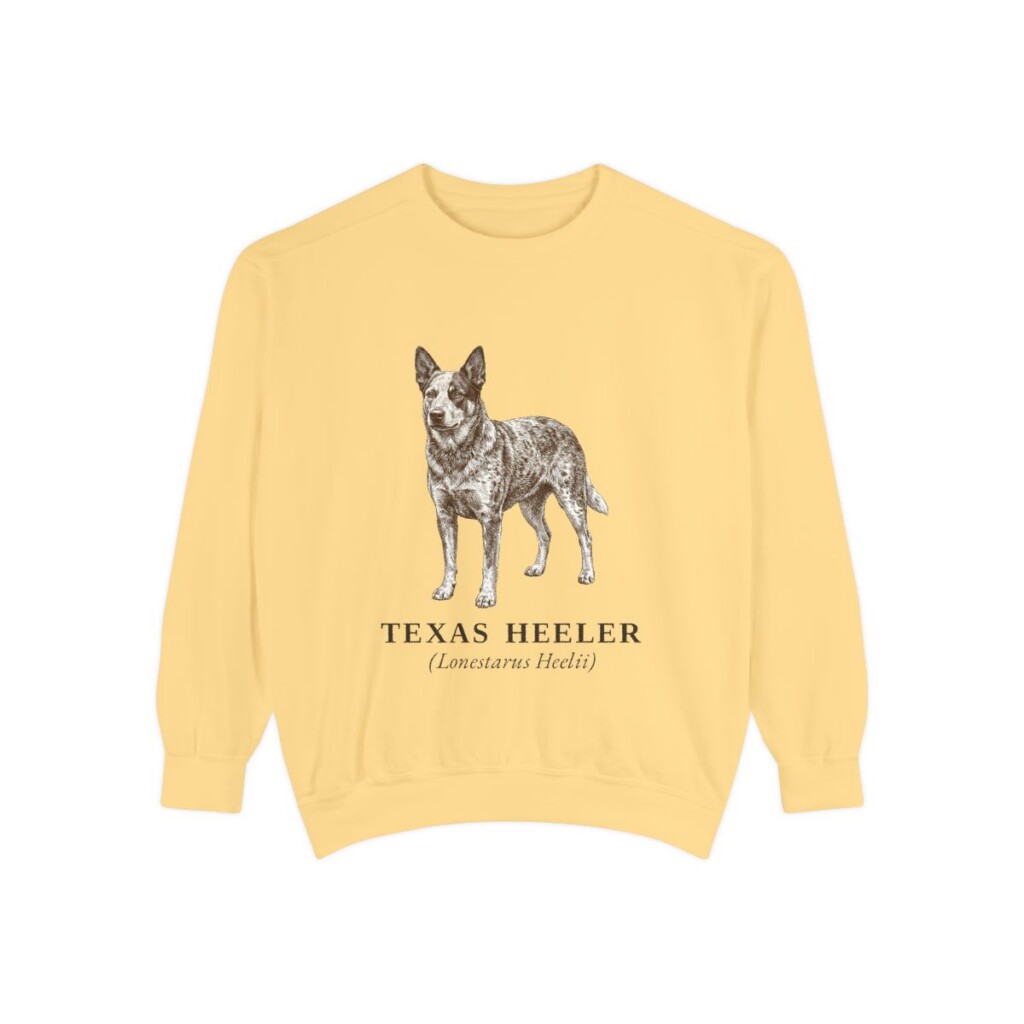 Texas Heeler Latin Sweatshirt, Butter, front view