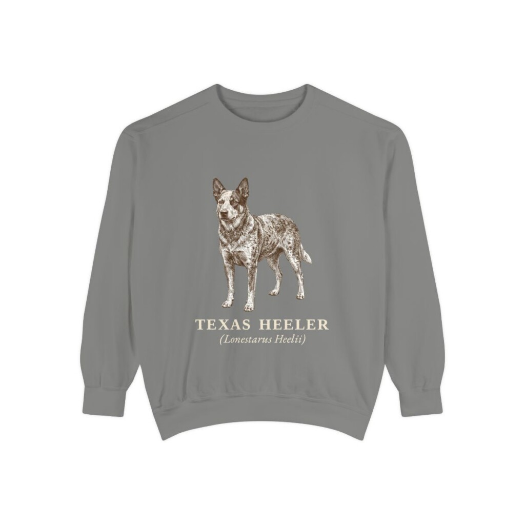 Texas Heeler Latin Sweatshirt, Grey, front view