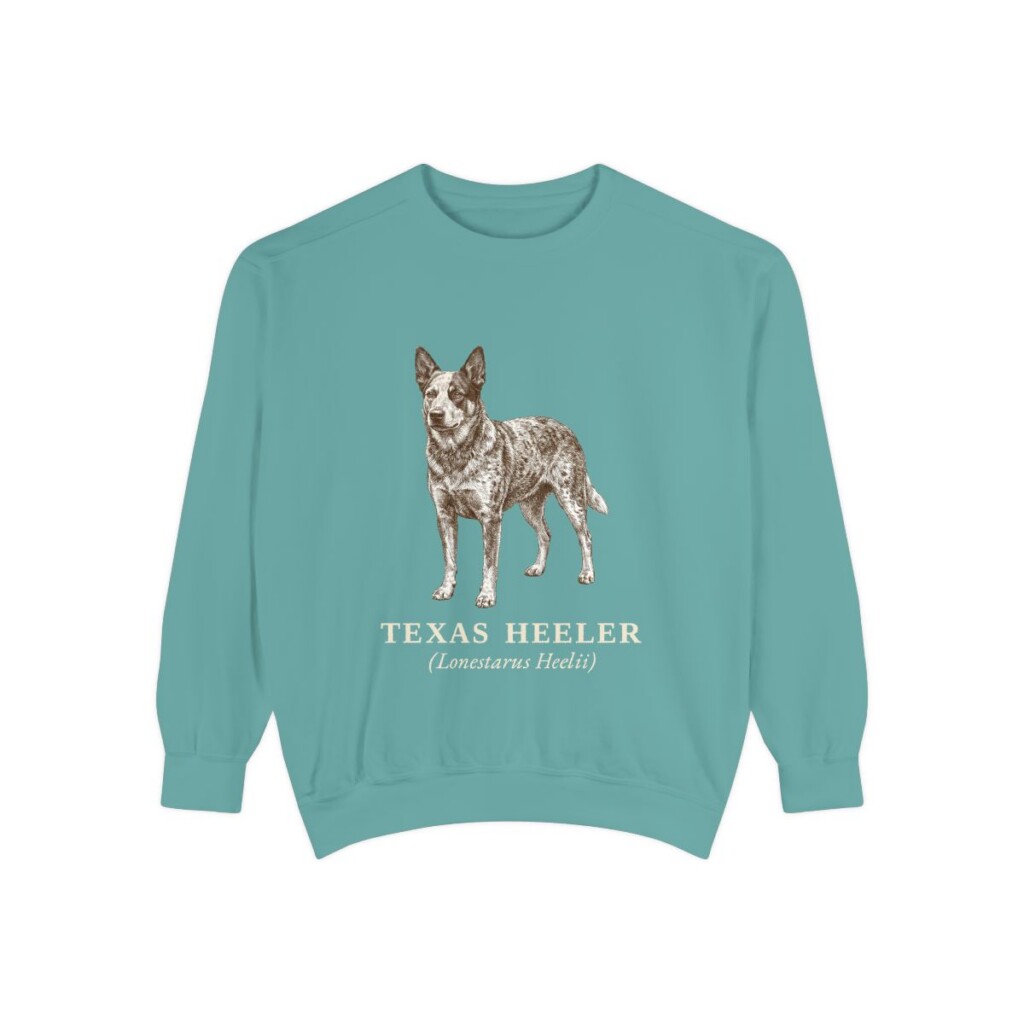 Texas Heeler Latin Sweatshirt, Seafoam, front view