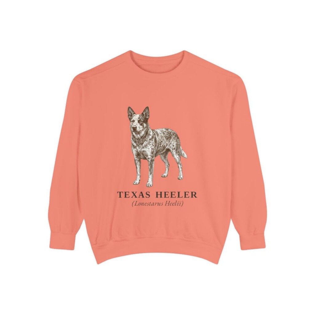 Texas Heeler Latin Sweatshirt, Terracotta, front view