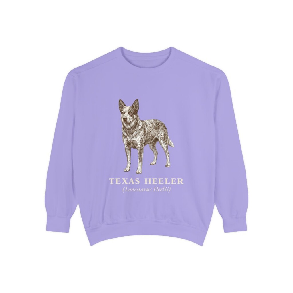 Texas Heeler Latin Sweatshirt, Violet, front view