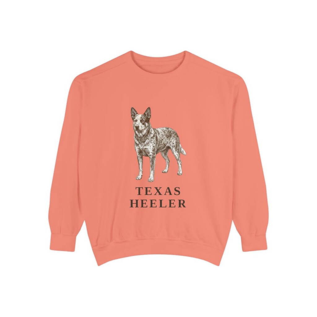 Texas Heeler Sweatshirt, Terracotta, front view