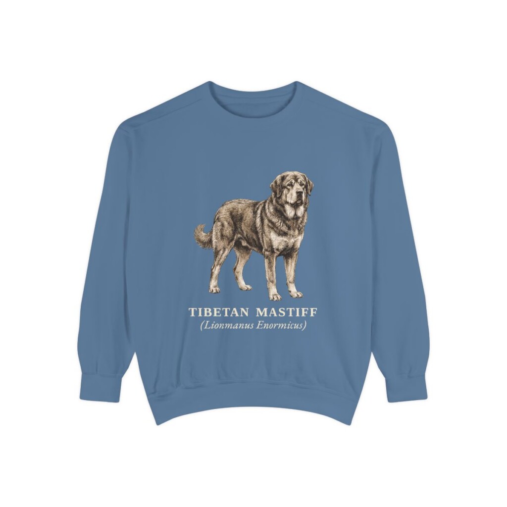 Tibetan Mastiff Latin Sweatshirt, Blue Jean, front view