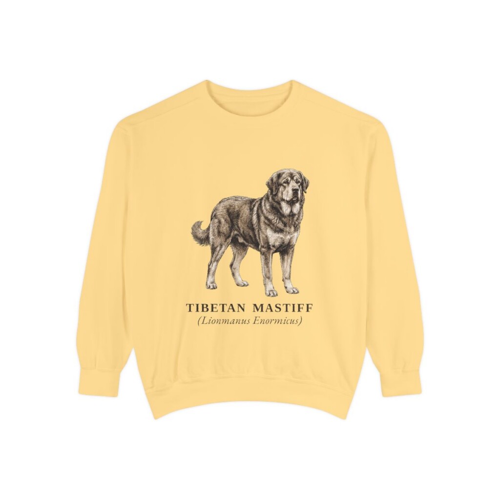 Tibetan Mastiff Latin Sweatshirt, Butter, front view