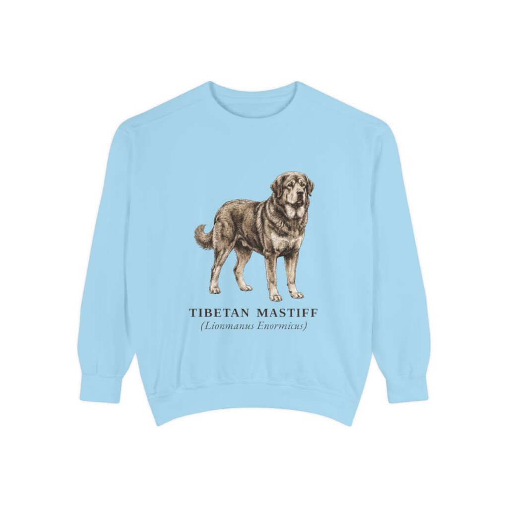 Tibetan Mastiff Latin Sweatshirt, Chambray, front view