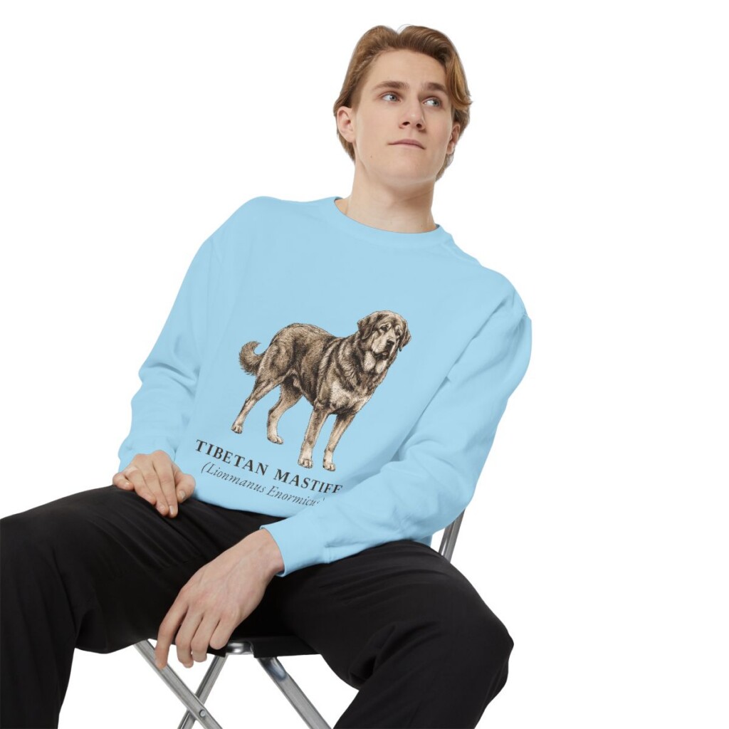 Tibetan Mastiff Latin Sweatshirt, Chambray, person 1 context