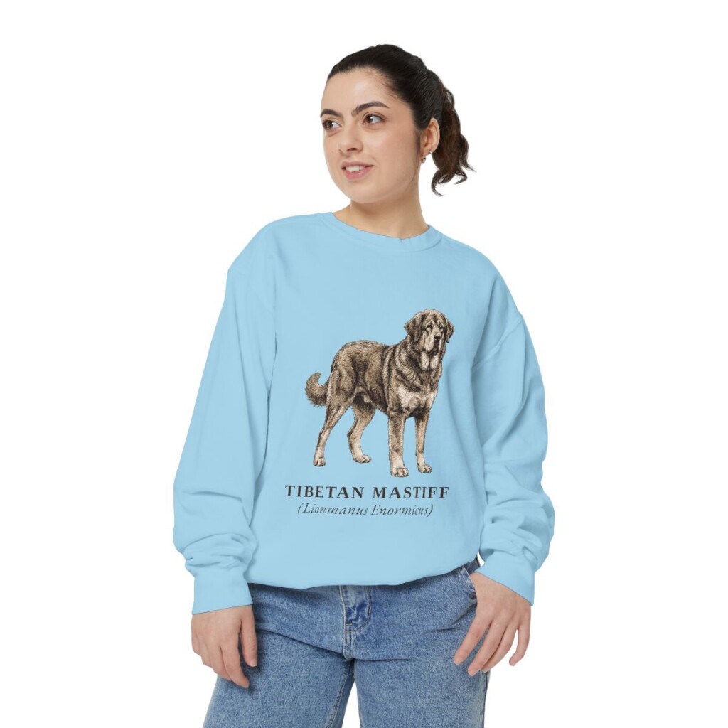 Tibetan Mastiff Latin Sweatshirt, Chambray, person 2 front