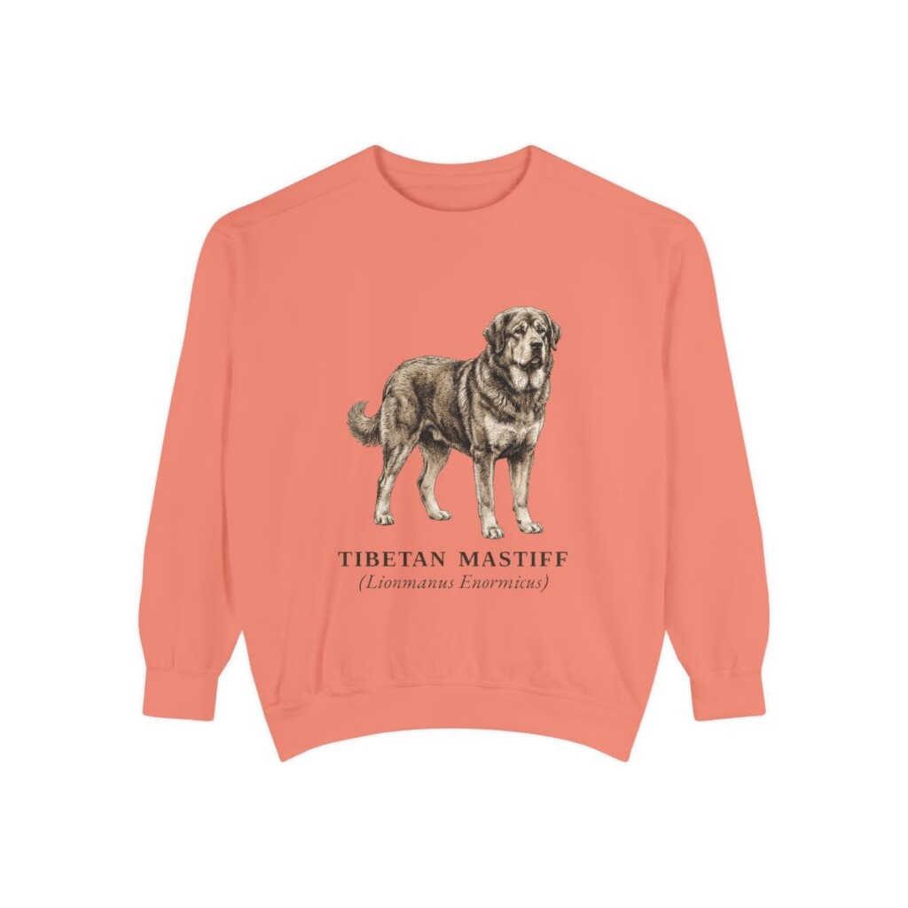 Tibetan Mastiff Latin Sweatshirt, Terracotta, front view