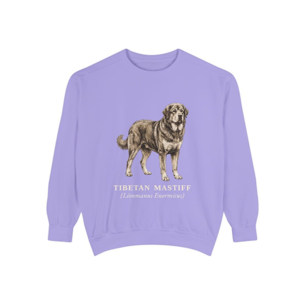 Tibetan Mastiff Latin Sweatshirt, Violet, front view