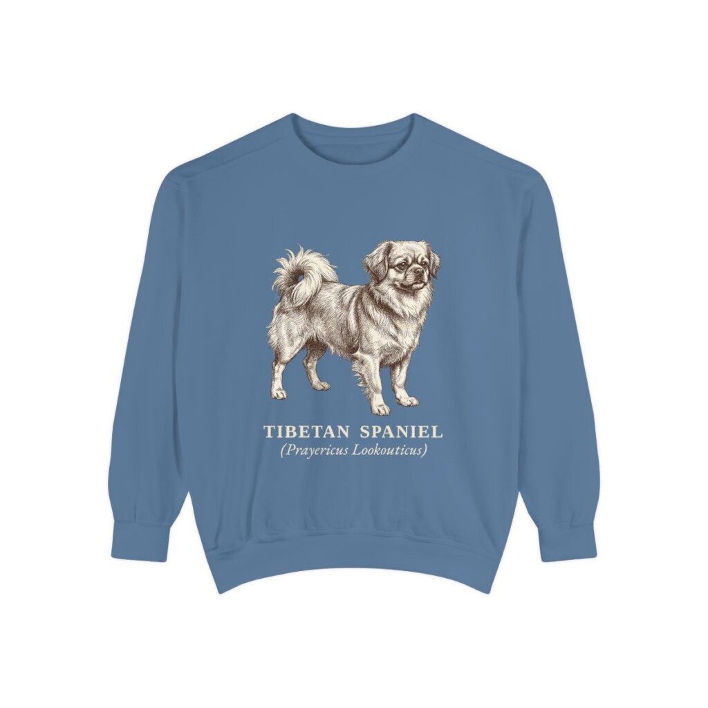 Tibetan Spaniel Latin Sweatshirt, Blue Jean, front view
