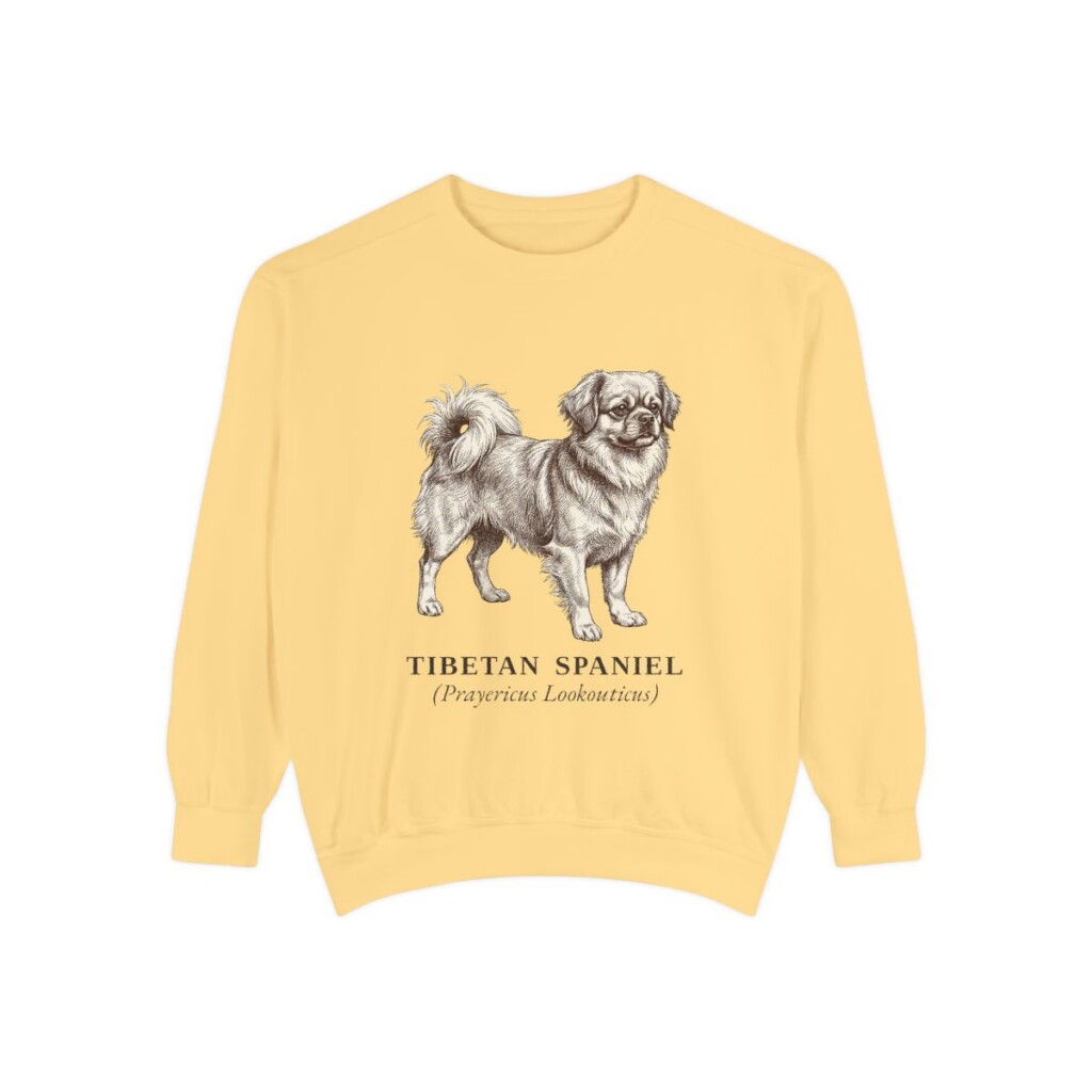 Tibetan Spaniel Latin Sweatshirt, Butter, front view