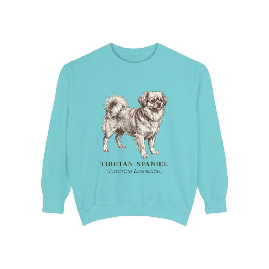 Tibetan Spaniel Latin Sweatshirt, Chalky Mint, front view