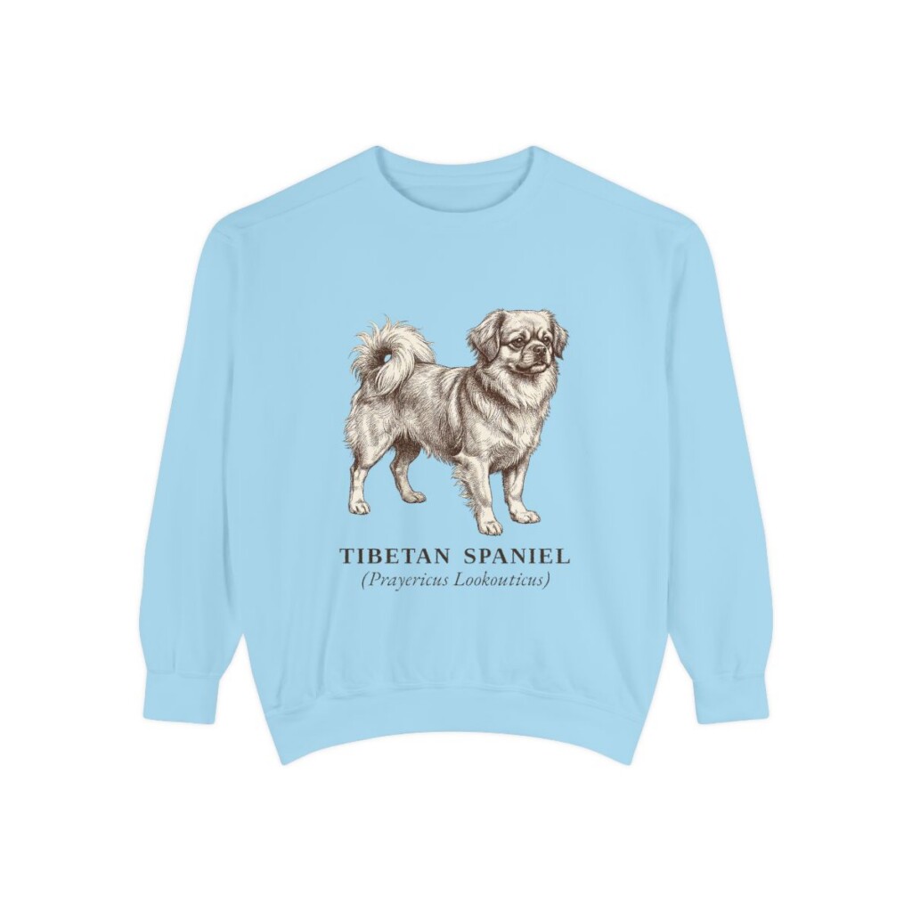 Tibetan Spaniel Latin Sweatshirt, Chambray, front view