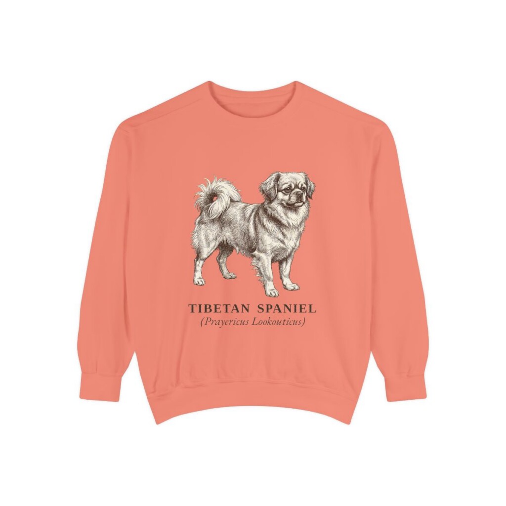 Tibetan Spaniel Latin Sweatshirt, Terracotta, front view