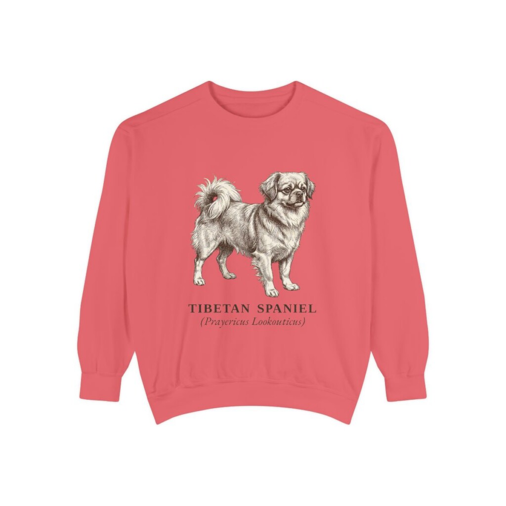 Tibetan Spaniel Latin Sweatshirt, Watermelon, front view