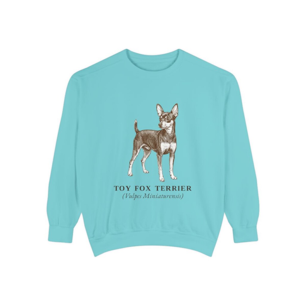 Toy Fox Terrier Latin Sweatshirt, Chalky Mint, front view