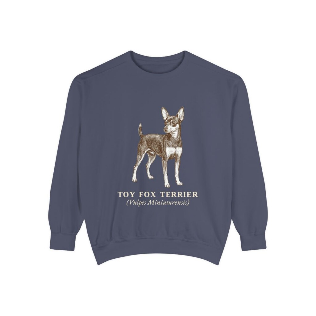 Toy Fox Terrier Latin Sweatshirt, Denim, front view