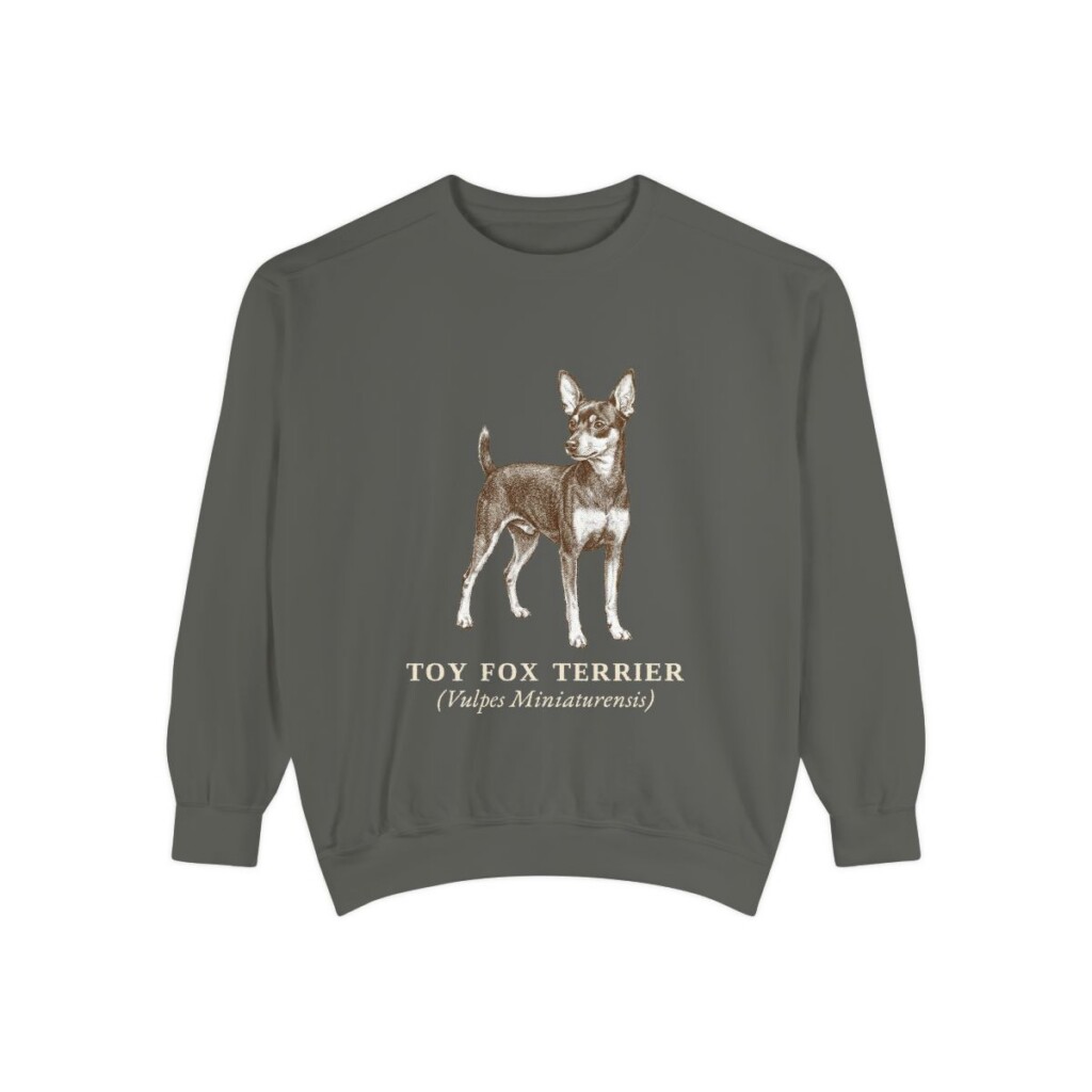 Toy Fox Terrier Latin Sweatshirt, Pepper, front view