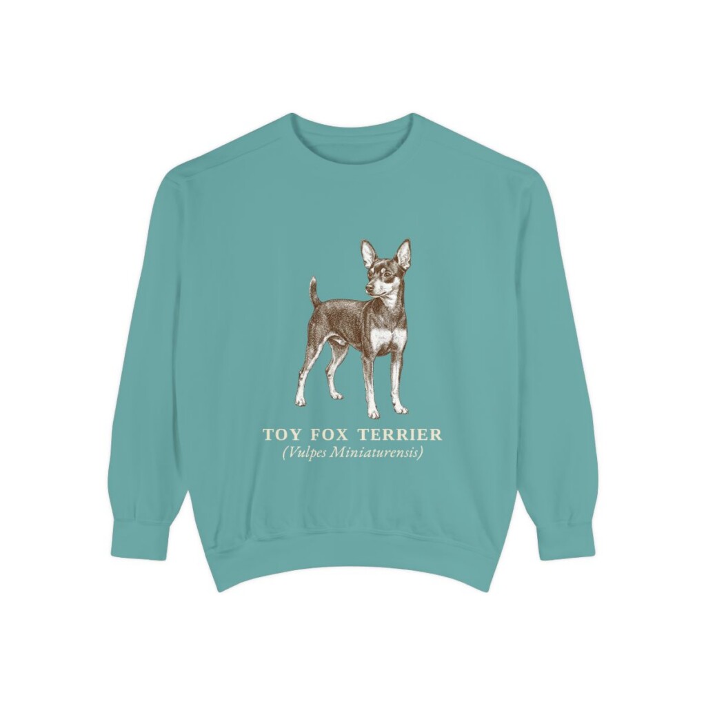 Toy Fox Terrier Latin Sweatshirt, Seafoam, front view