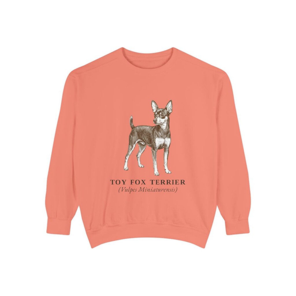 Toy Fox Terrier Latin Sweatshirt, Terracotta, front view