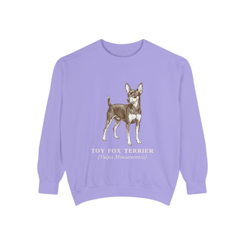 Toy Fox Terrier Latin Sweatshirt, Violet, front view