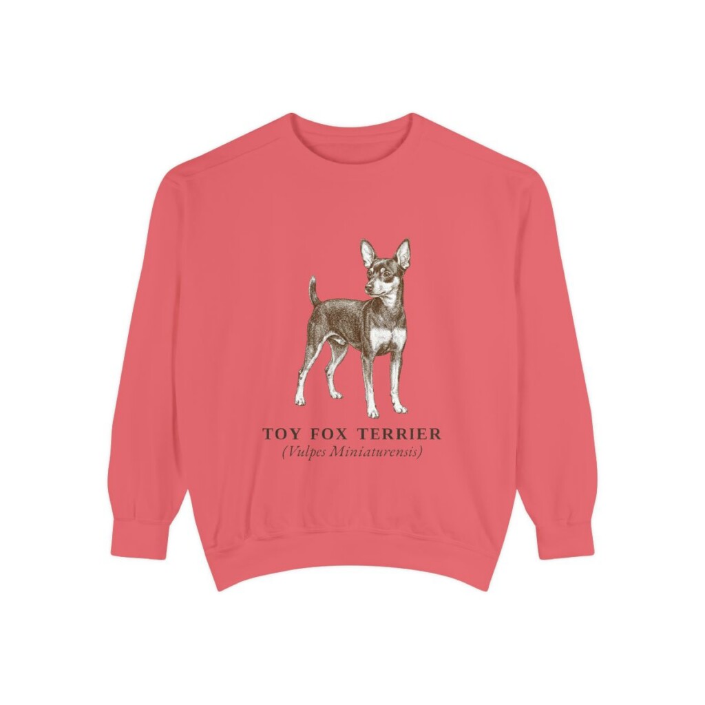 Toy Fox Terrier Latin Sweatshirt, Watermelon, front view