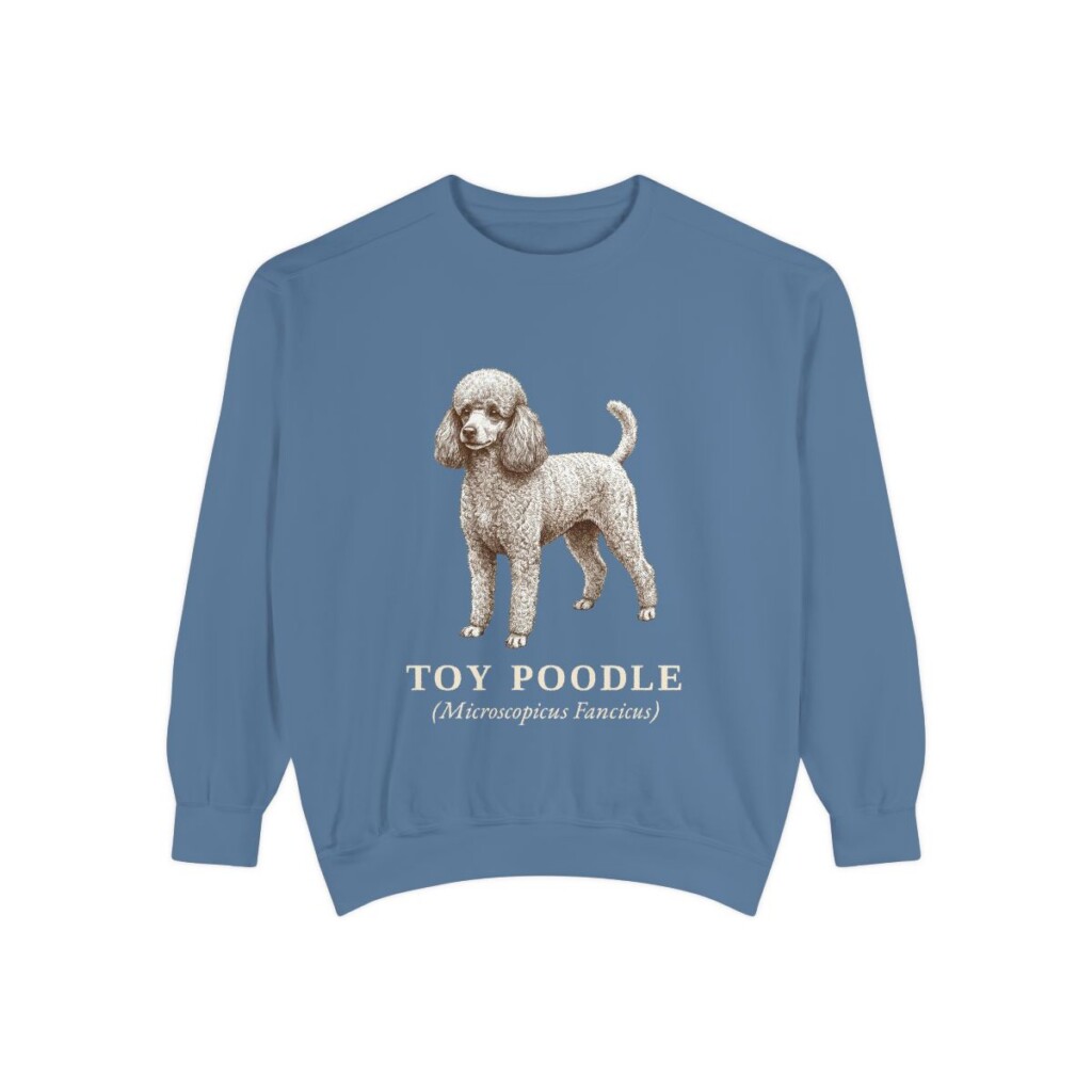 Toy Poodle Latin Sweatshirt, Blue Jean, front view