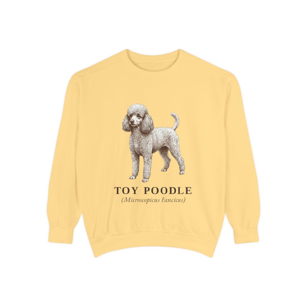 Toy Poodle Latin Sweatshirt, Butter, front view
