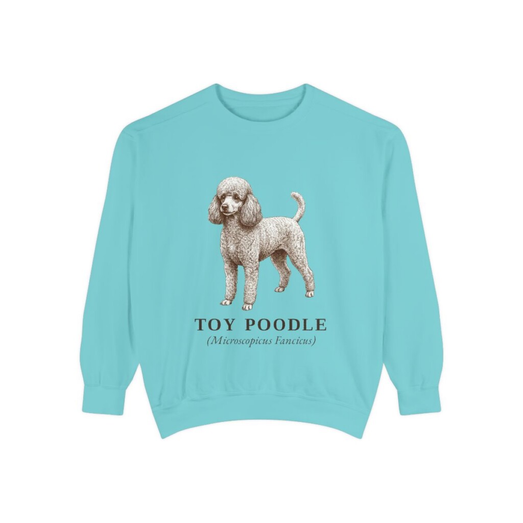 Toy Poodle Latin Sweatshirt, Chalky Mint, front view