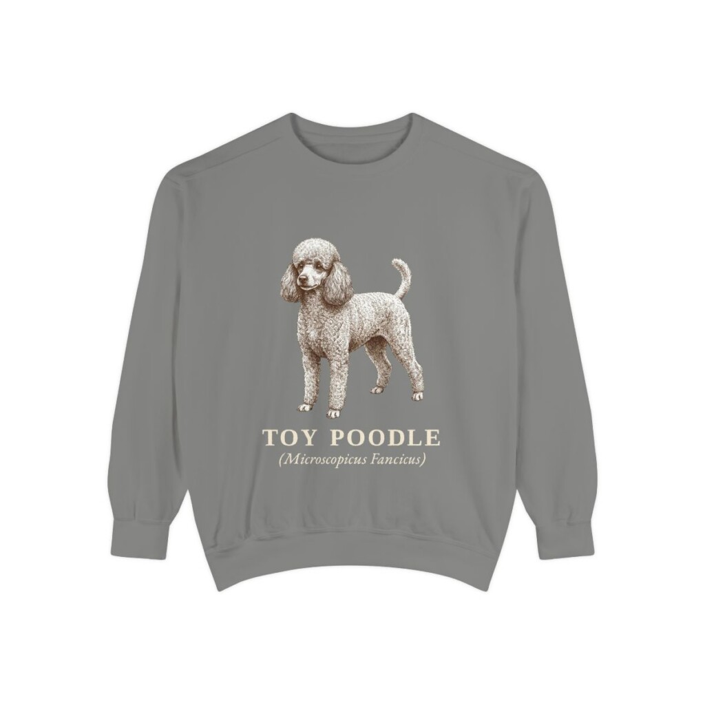 Toy Poodle Latin Sweatshirt, Grey, front view
