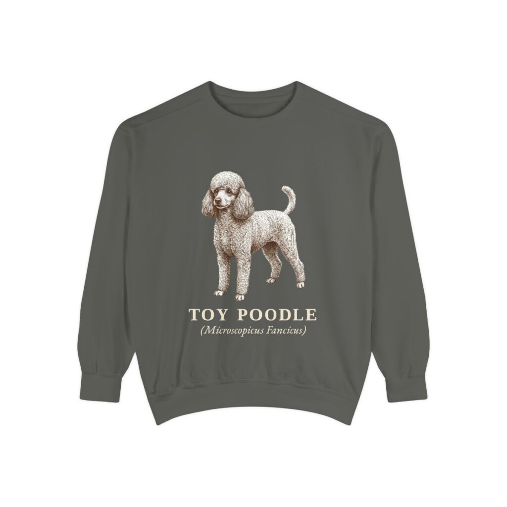 Toy Poodle Latin Sweatshirt, Pepper, front view
