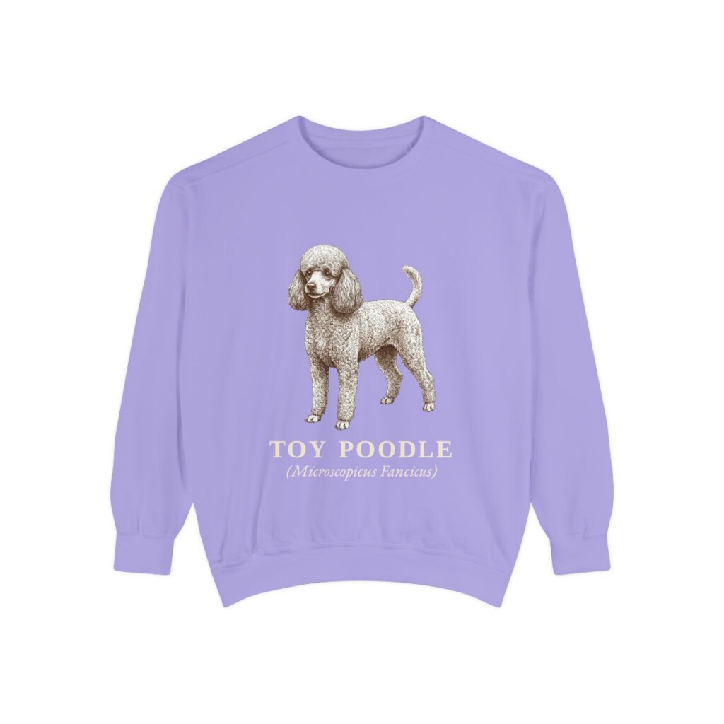 Toy Poodle Latin Sweatshirt, Violet, front view