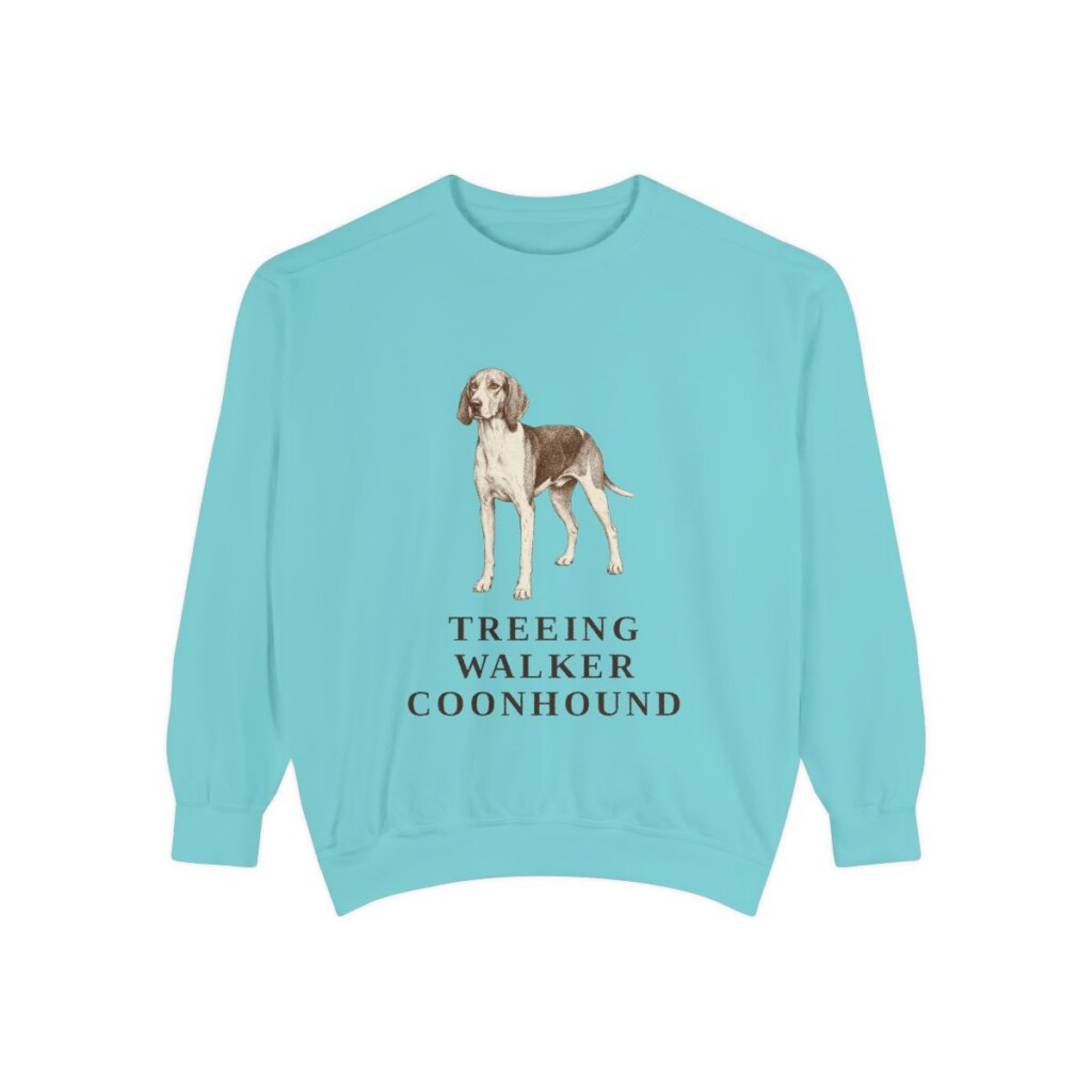 Treeing Walker Coonhound Sweatshirt, Chalky Mint, front view