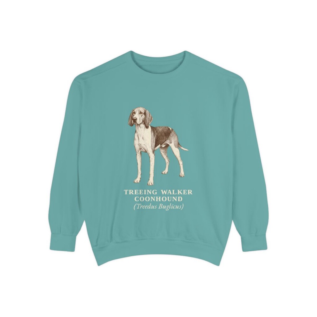 Treeing Walker Coonhound Latin Sweatshirt, Seafoam, front view