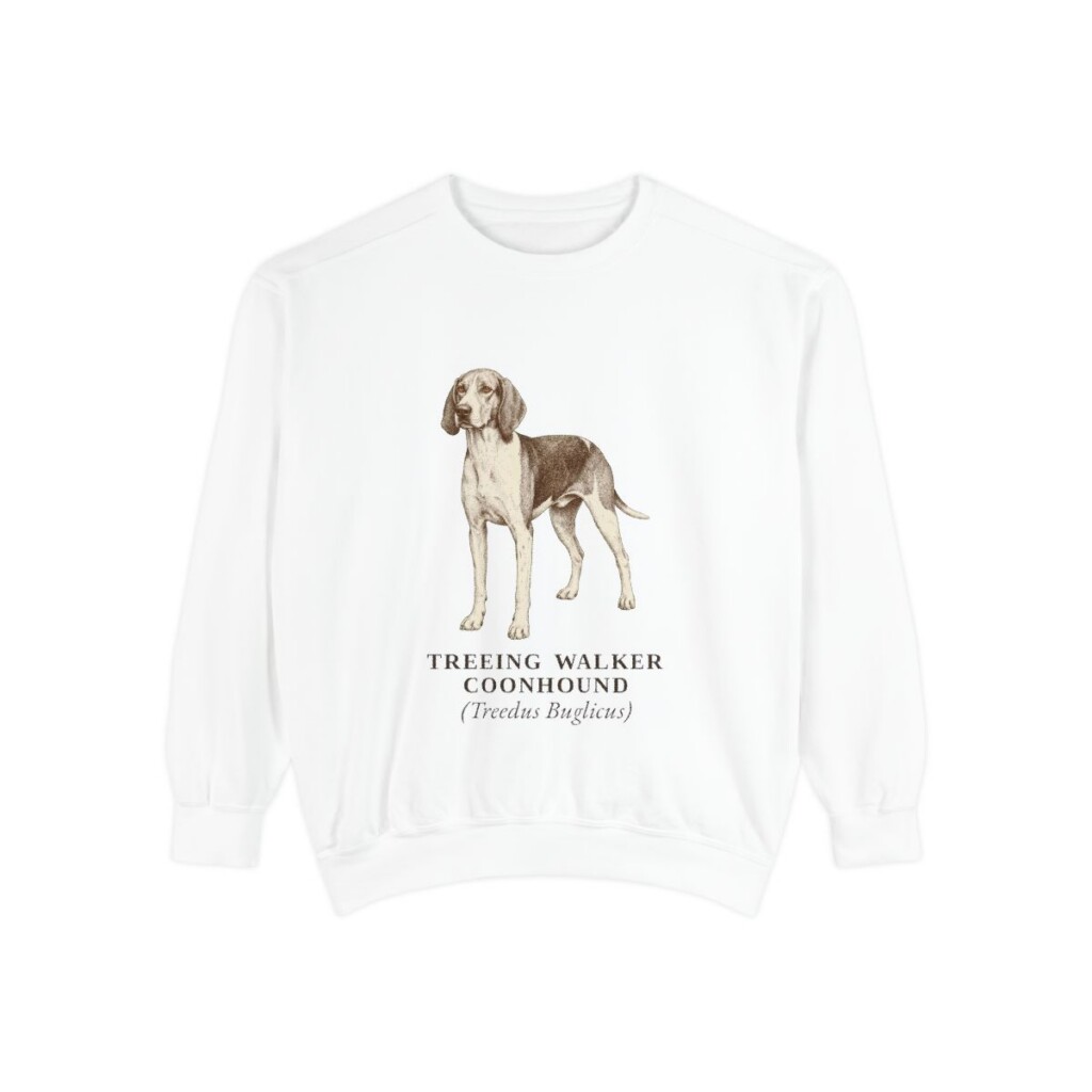 Treeing Walker Coonhound Latin Sweatshirt, White, front view