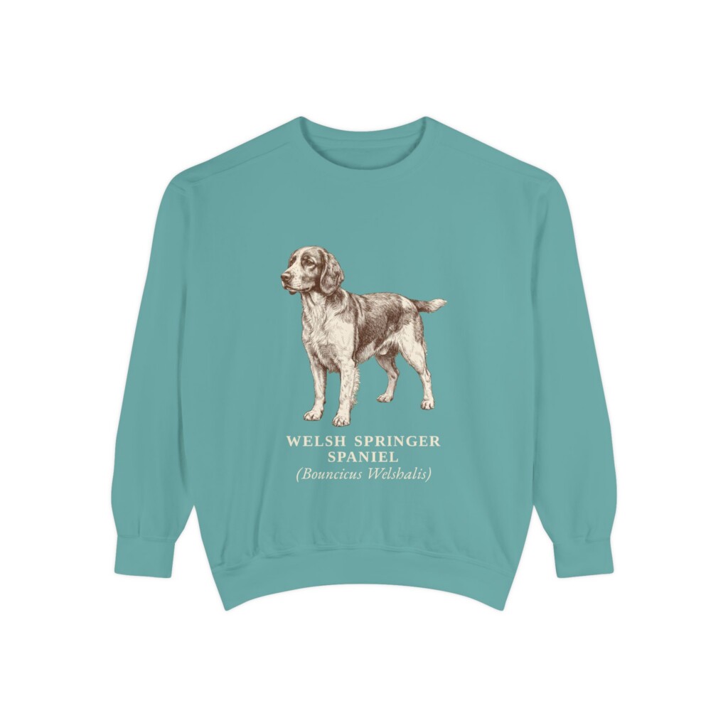 1062404461798249032_2048.jpeg Welsh Springer Spaniel Latin Sweatshirt, Vintage Dog Sketch Crewneck, Dog Latin Gift