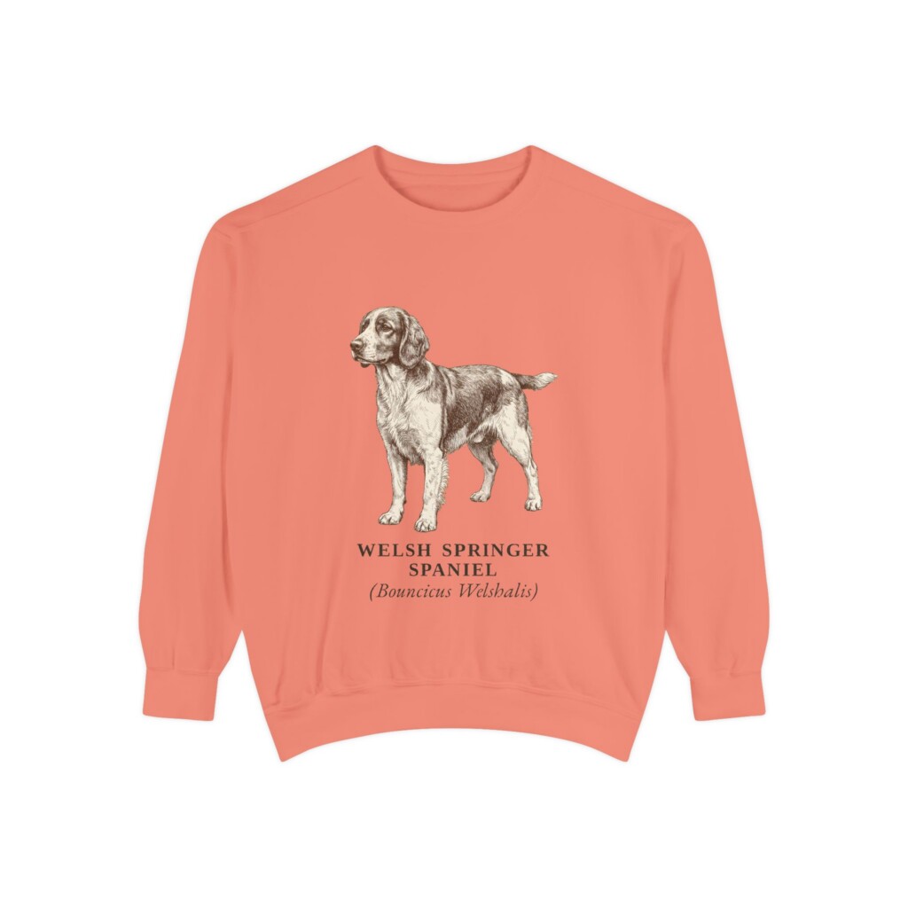 10728055128170197343_2048.jpeg Welsh Springer Spaniel Latin Sweatshirt, Vintage Dog Sketch Crewneck, Dog Latin Gift