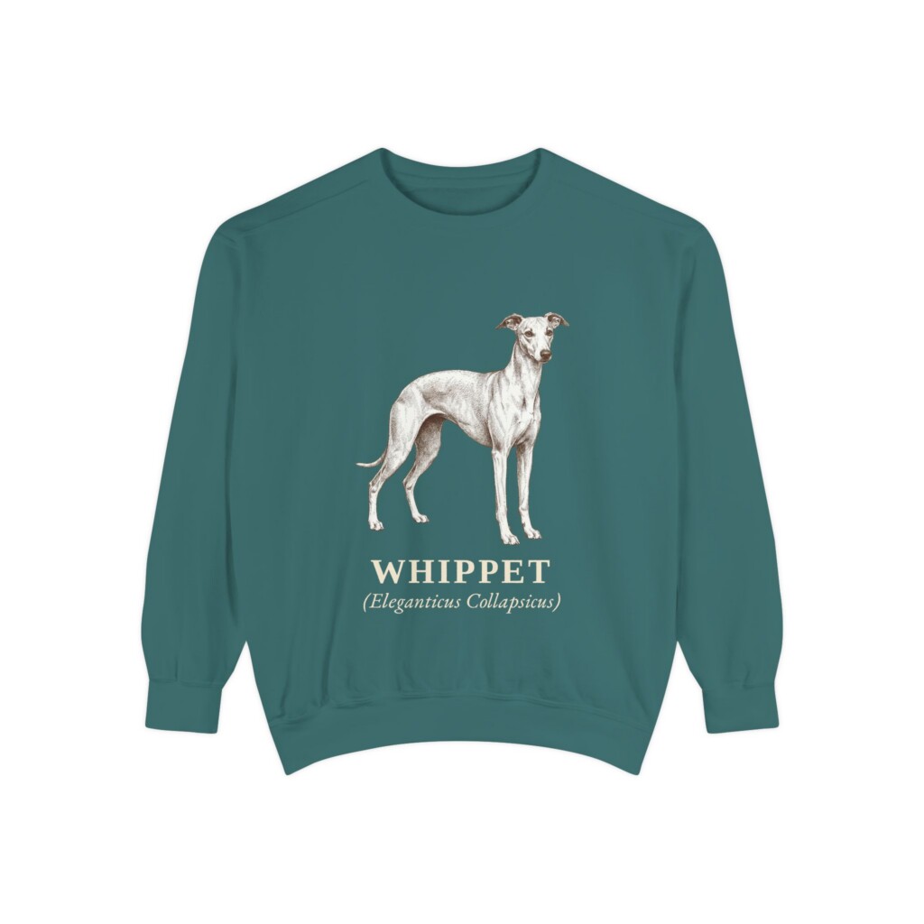 Whippet Latin Sweatshirt, Vintage Dog Sketch Crewneck, Dog Latin Gift