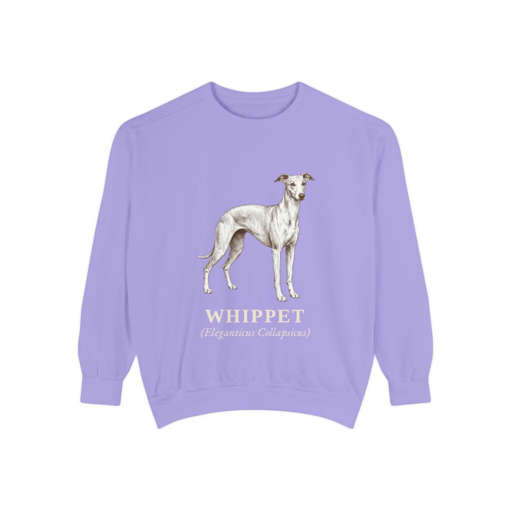 Whippet Latin Sweatshirt, Vintage Dog Sketch Crewneck, Dog Latin Gift