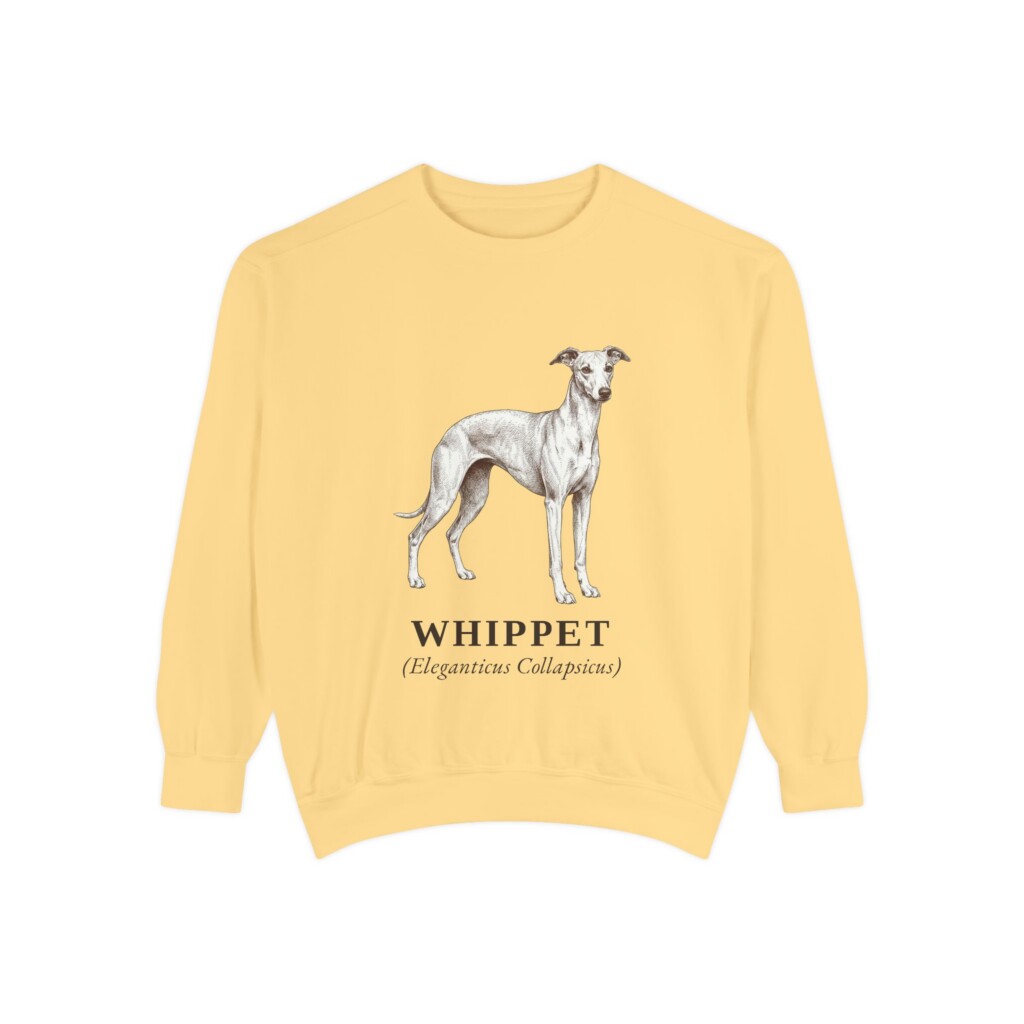 Whippet Latin Sweatshirt, Vintage Dog Sketch Crewneck, Dog Latin Gift