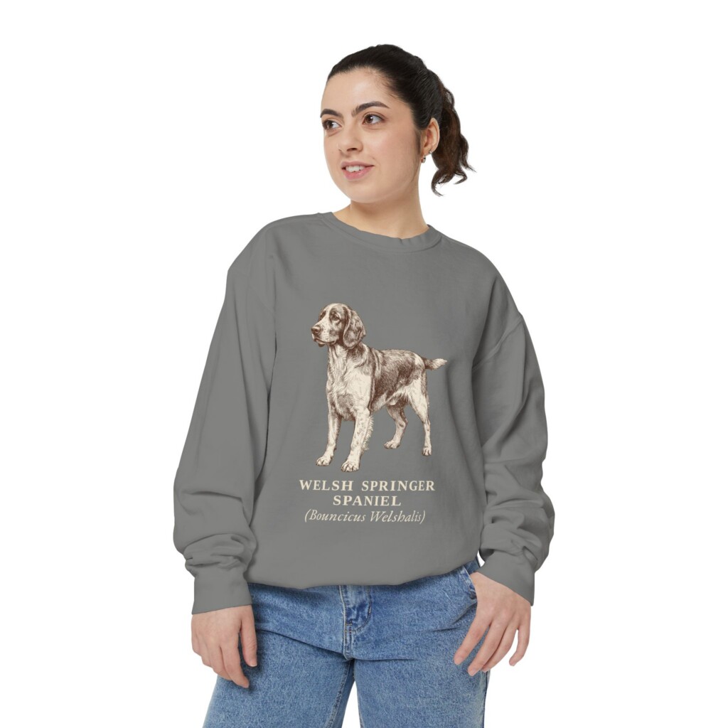 12866472225788626166_2048.jpeg Welsh Springer Spaniel Latin Sweatshirt, Vintage Dog Sketch Crewneck, Dog Latin Gift